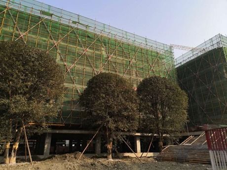 全面复工20天 装修绿化5月完成，成都新世纪外国语学校新校区项目进展顺利