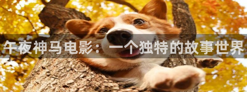 黄色欧美影院：午夜神马电影：一个独特的故事世界