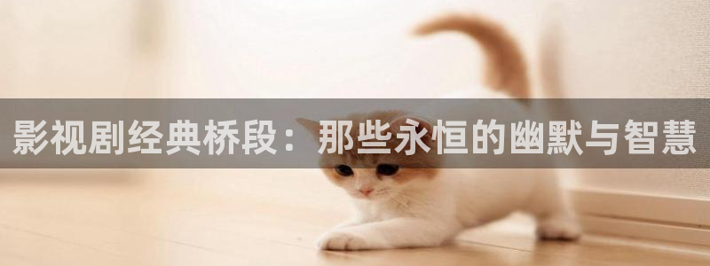 欧美影院久久影院：影视剧经典桥段：那些永恒的幽默与智慧