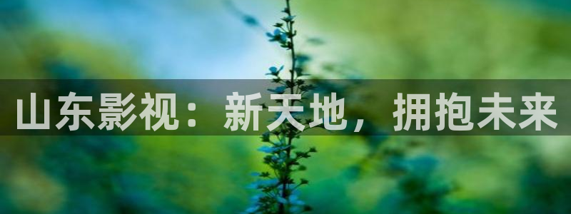 国产欧美影院：山东影视：新天地，拥抱未来