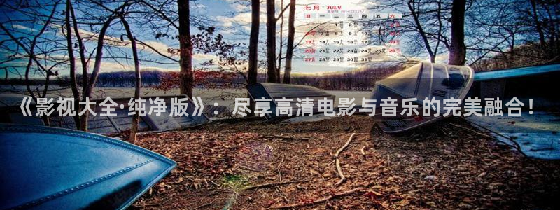 优优色欧美影院：《影视大全·纯净版》：尽享高清电影与音乐的完美融合！