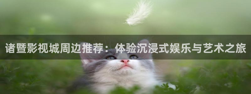 精品日韩欧美影院：诸暨影视城周边推荐：体验沉浸式娱乐与艺术之旅