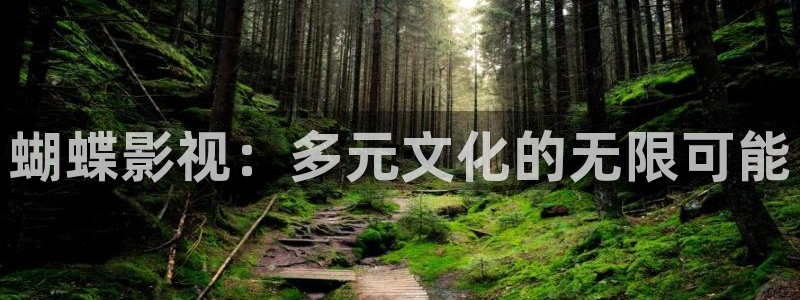 秋霞欧美影院：蝴蝶影视：多元文化的无限可能